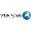 White whale